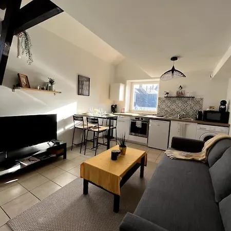 Charmant Duplex Lumineux - Centre De Lejlighed