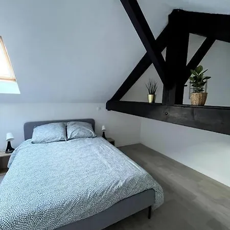 Charmant Duplex Lumineux - Centre De