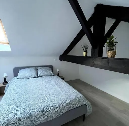 Charmant Duplex Lumineux - Centre De